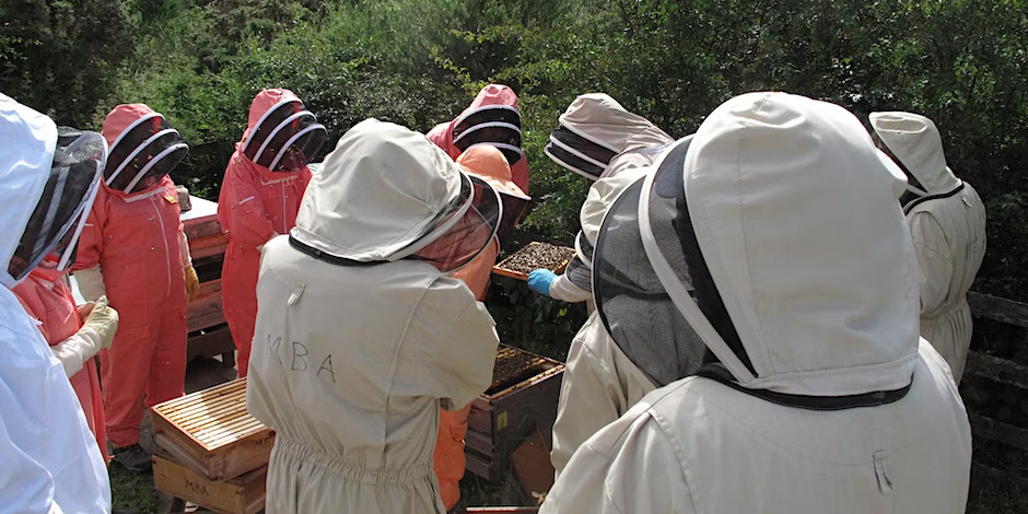 Introductory Beekeeping Course