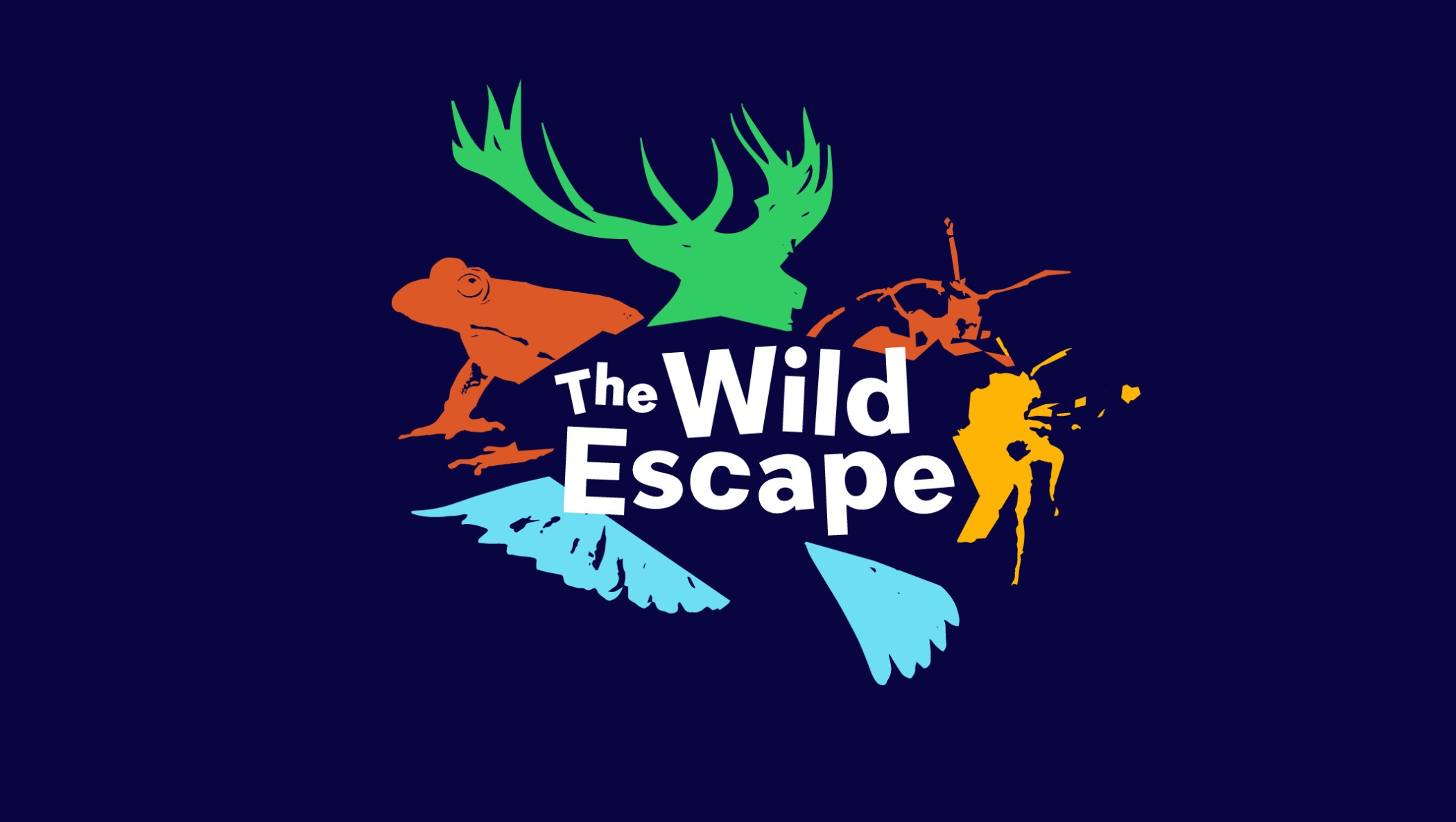 The Wild Escape Activity Sessions